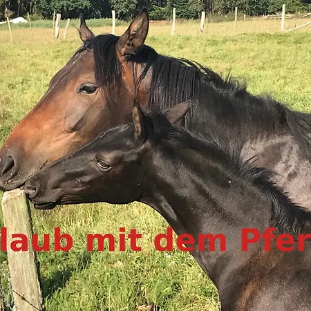 شقة Elegante Maisonette *