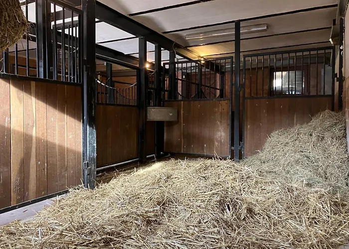 Apartman Elegante Maisonette